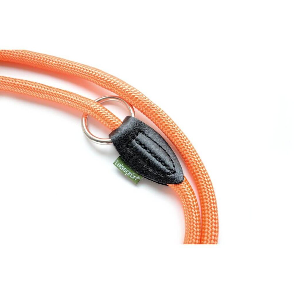 Detailaufnahme des O-Rings der Hundeleine