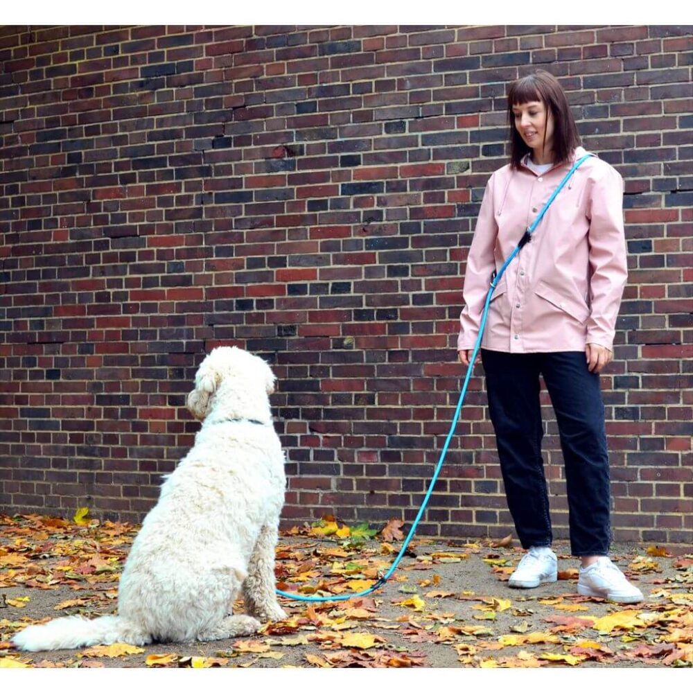 Hund und Herrchen mit Leisegrün Hundeleine