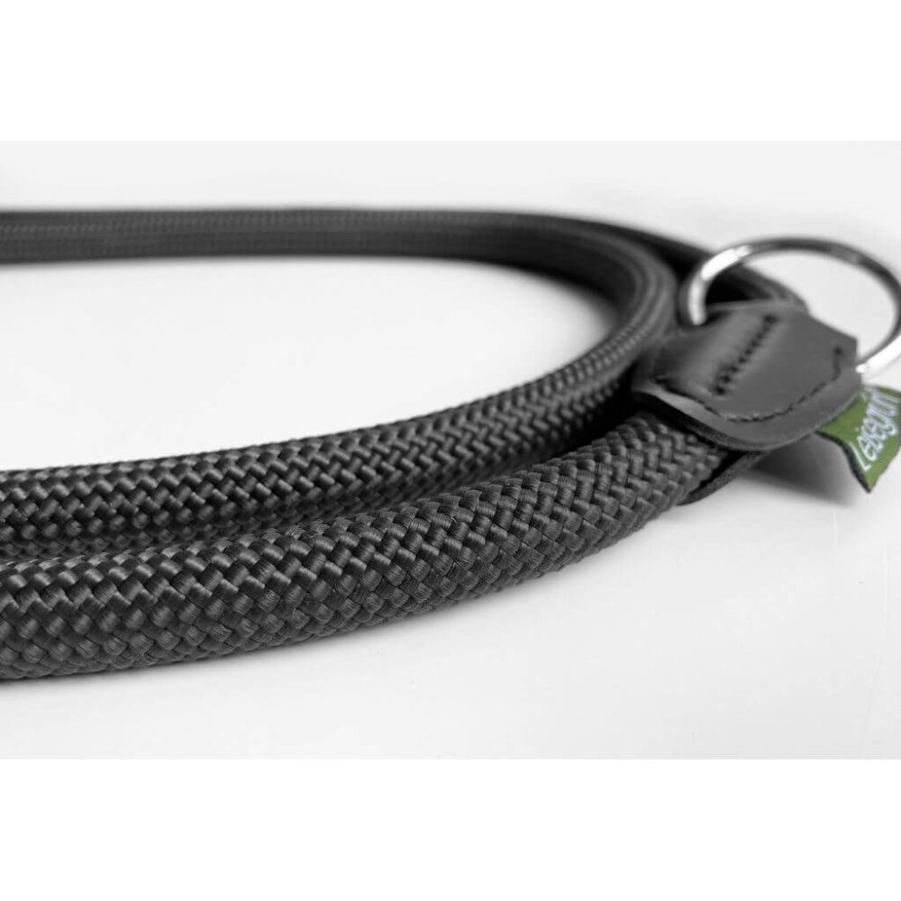 Detailaufnahme vom Tau der Leisegrün Hundeleine