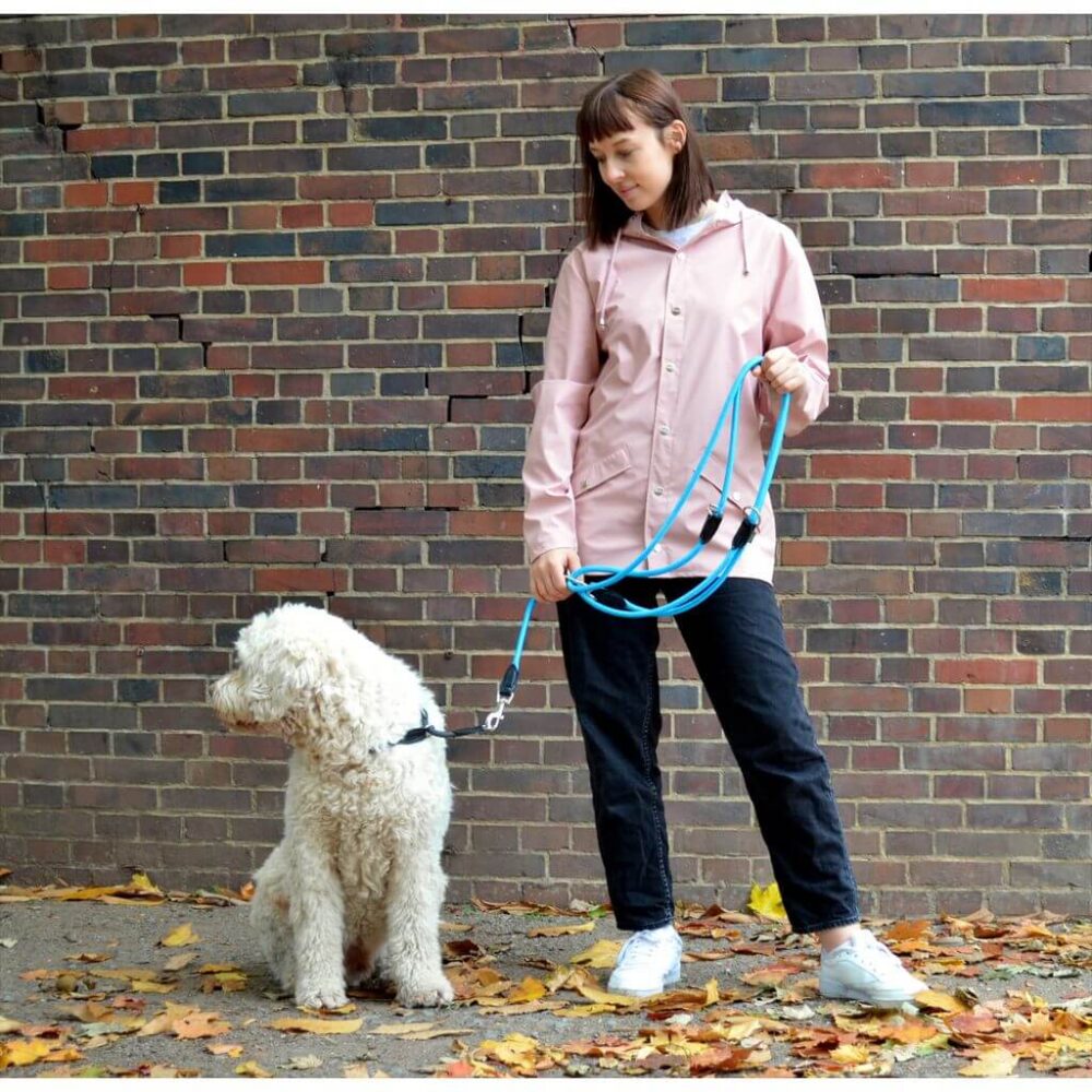 Hund und Herrchen mit Leisegrün Hundeleine