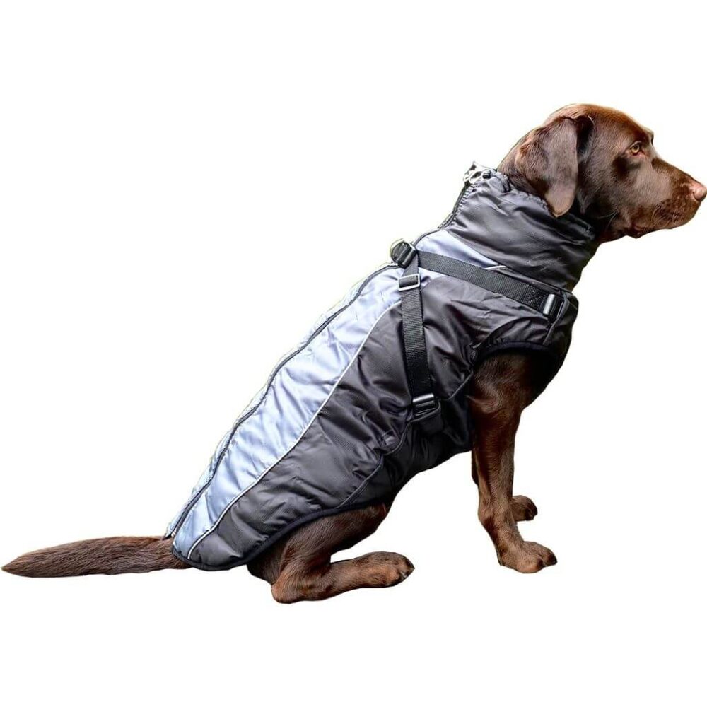 Hundemantel