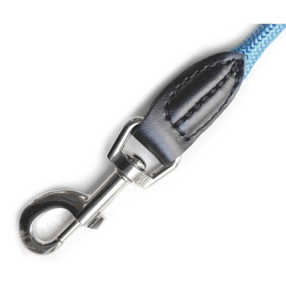 Detailaufnahme vom Karabiner der Leisegrün Hundeleine