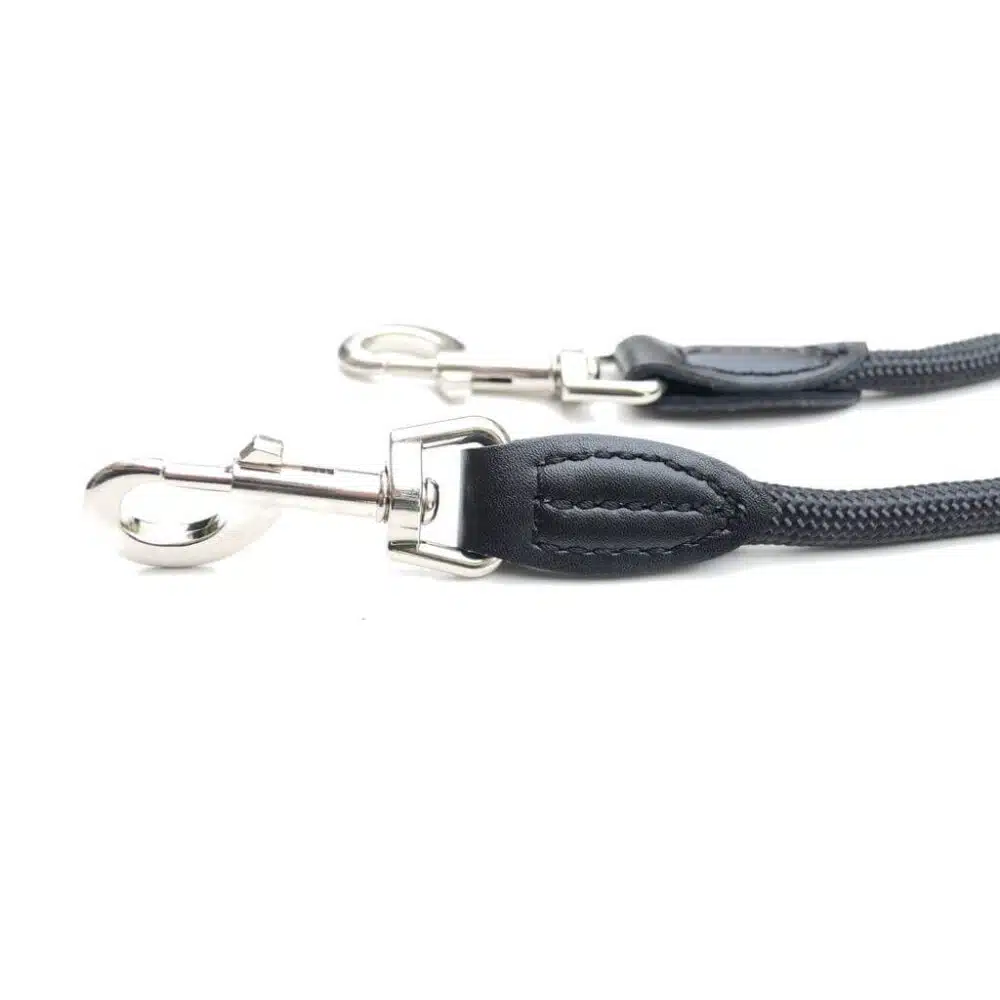 Detailaufnahme vom Karabiner der Leisegrün Hundeleine