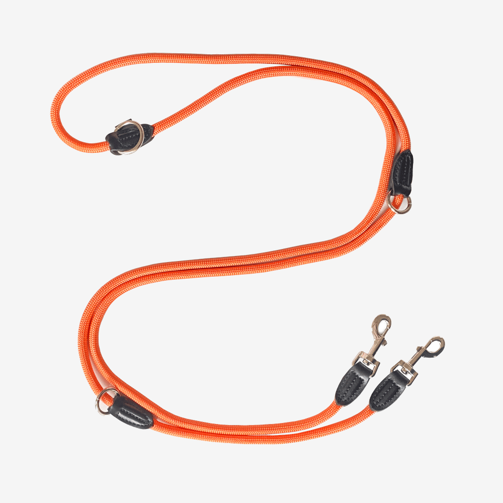 Hundeleine Orange