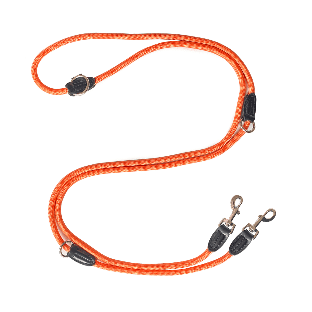 Hundeleine Orange