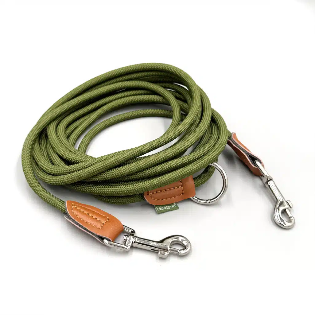 5m lange Hundeleine aufgerollt auf weißem Hintergrund