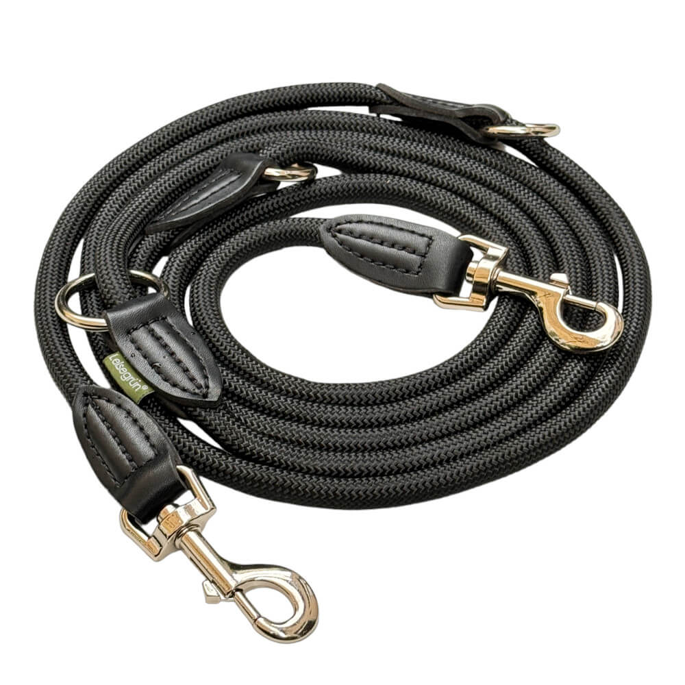 Schwarze Hundeleine mit Lederbesätzen und Metallkarabinerhaken.