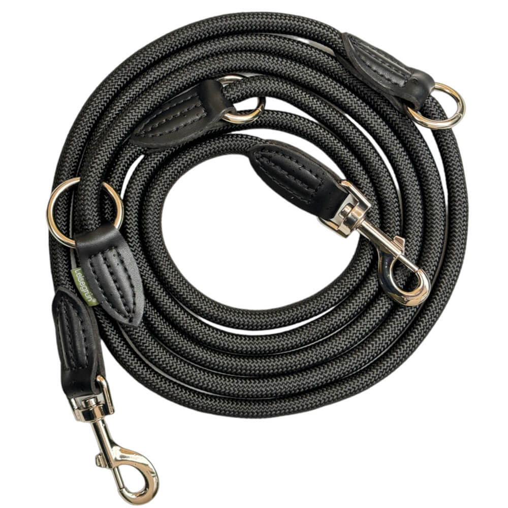 Schwarze Hundeleine mit Lederbesätzen und Metallkarabinerhaken.
