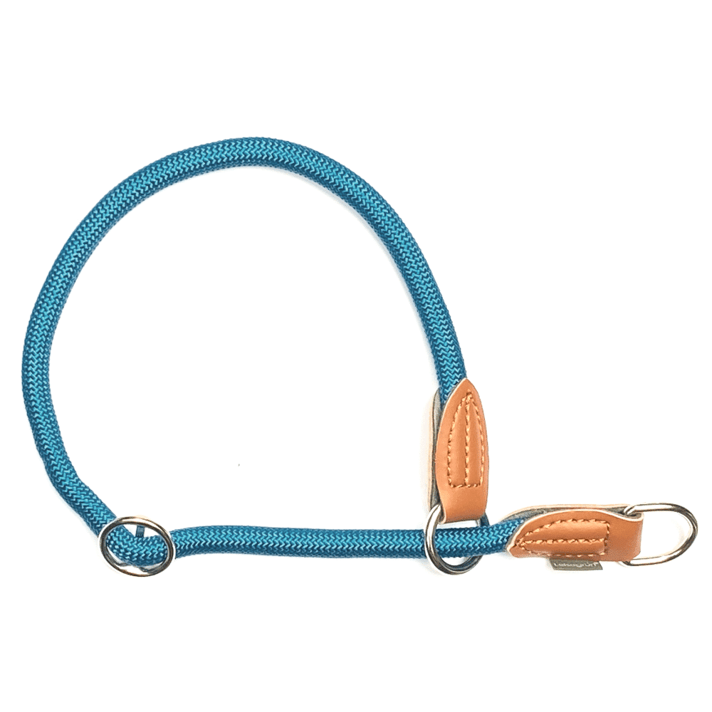 Hunde Halsband Türkis