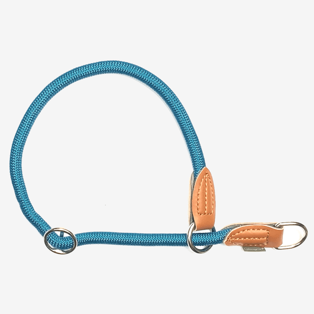 Hundehalsband Türkis