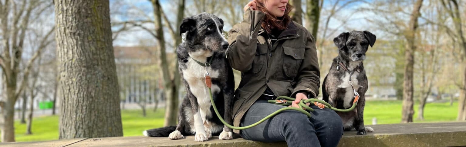 Frau sitzt auf einer Mauer im Park mit zwei Hunden an einer 3m Hundeleine