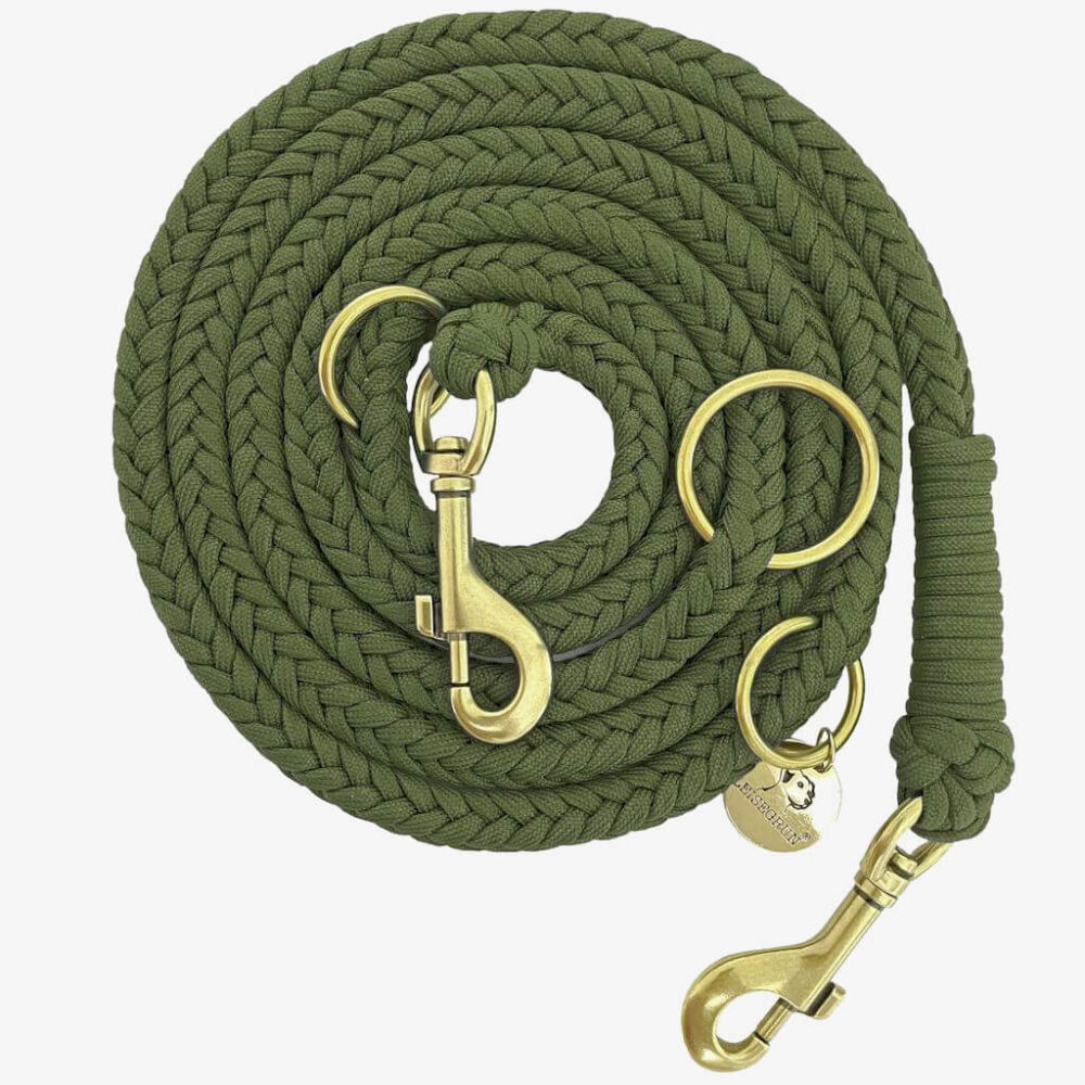 Geflochtene Paracord Hundeleine in Olive mit messingfarbenen Karabinern und Ringen, 2 Meter lang und dreifach verstellbar