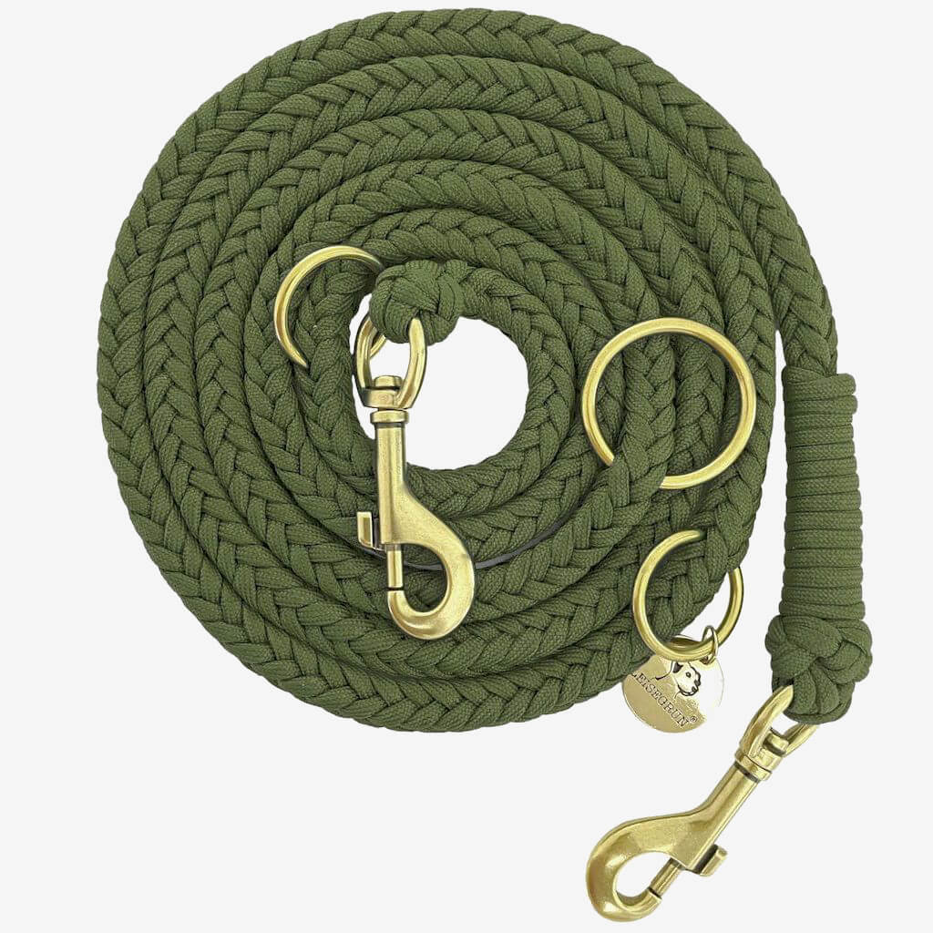 Geflochtene Paracord Hundeleine in Olive mit messingfarbenen Karabinern und Ringen, 2 Meter lang und dreifach verstellbar