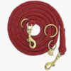 Geflochtene Paracord Hundeleine in Rot mit messingfarbenen Karabinern und Ringen, 2 Meter lang und dreifach verstellbar
