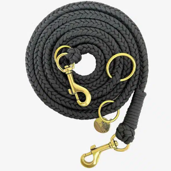 Schwarze, geflochtene Paracord Hundeleine mit messingfarbenen Karabinern, 2 Meter lang und dreifach verstellbar