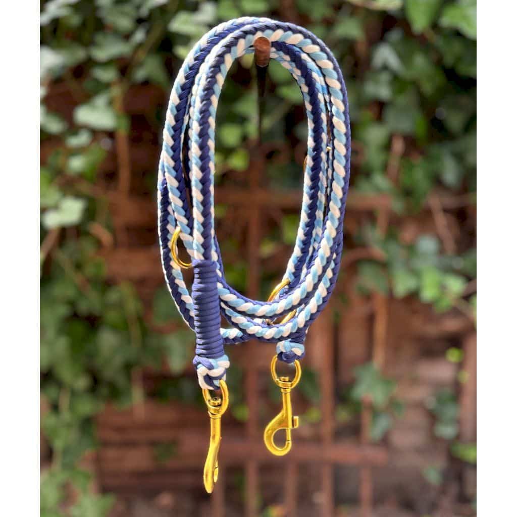 Geflochtene Paracord-Hundeleine in Blau- und Hellblau-Tönen mit goldenen Karabinern, vor grünem Hintergrund.