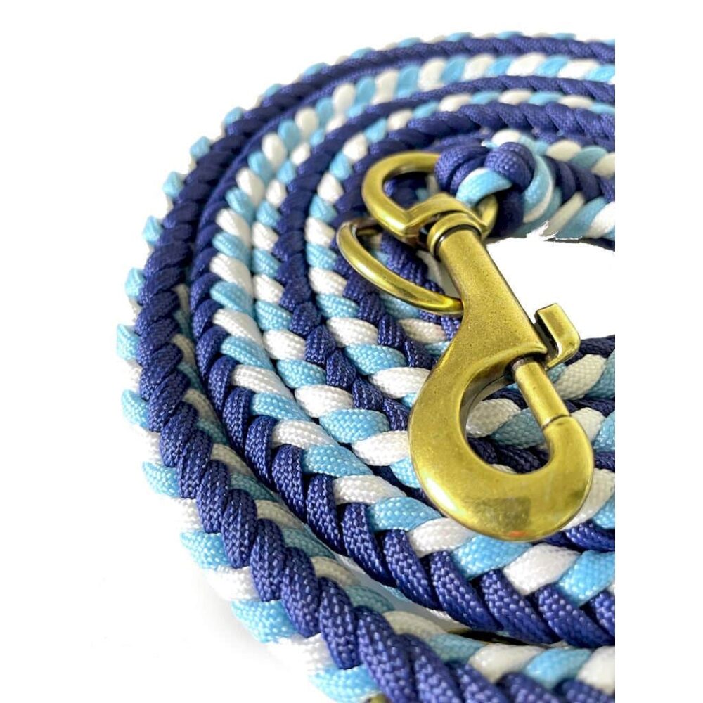 Detail des goldfarbenen Karabinerhakens an der geflochtenen Leine.