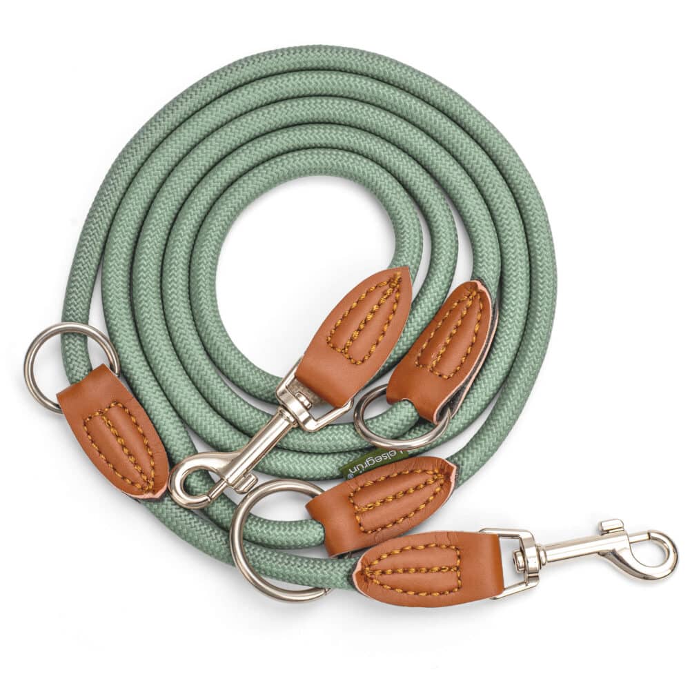 Nylon Hundeleine 2 m in hellem Grün mit zwei Karabinern und Lederverstärkungen