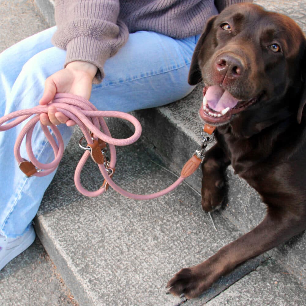 Nylon Hundeleine 2 m lang, in Altrosa mit zwei Karabinern und Lederverstärkungen
