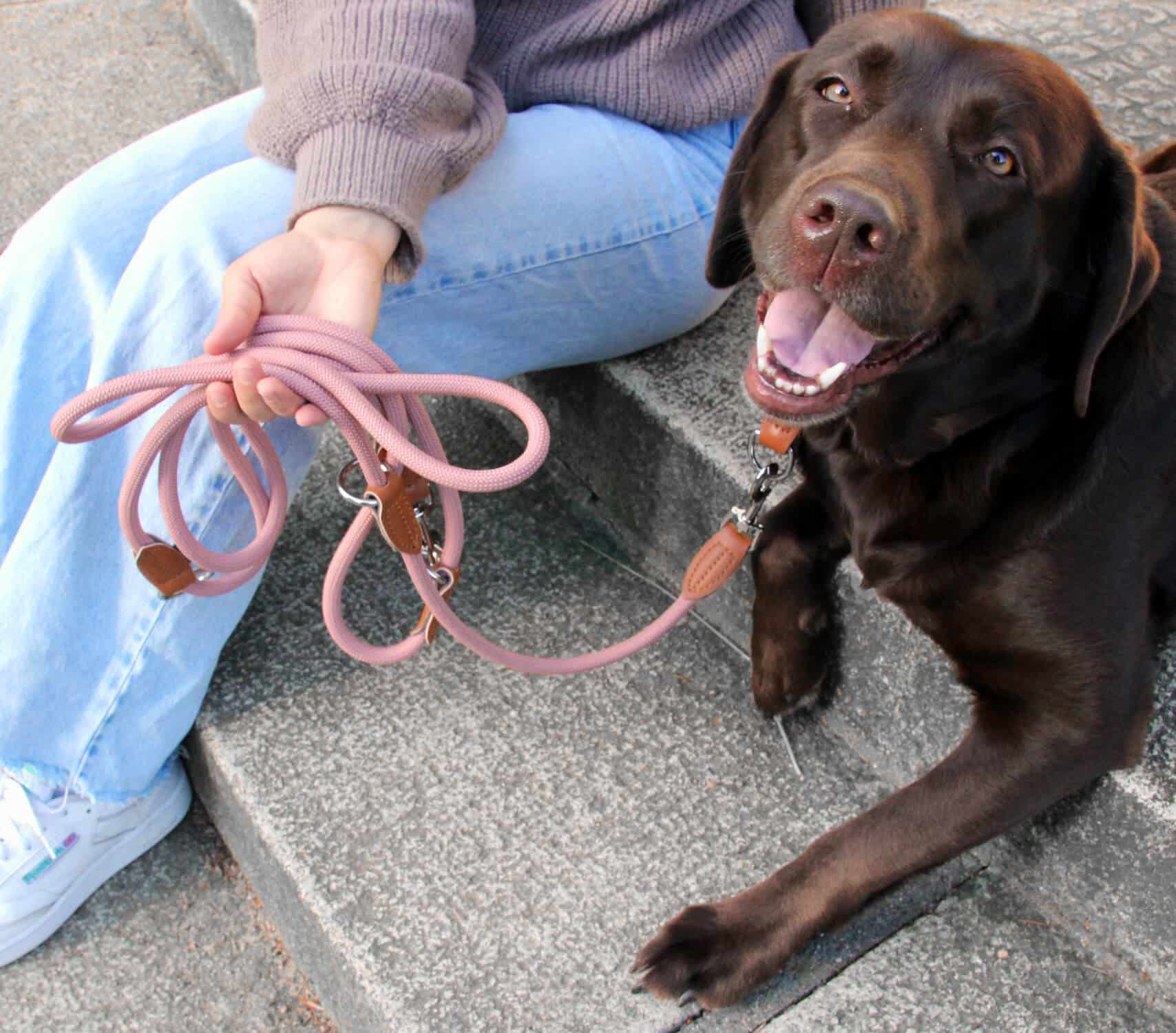 Nylon Hundeleine 2 m lang, in Altrosa mit zwei Karabinern und Lederverstärkungen