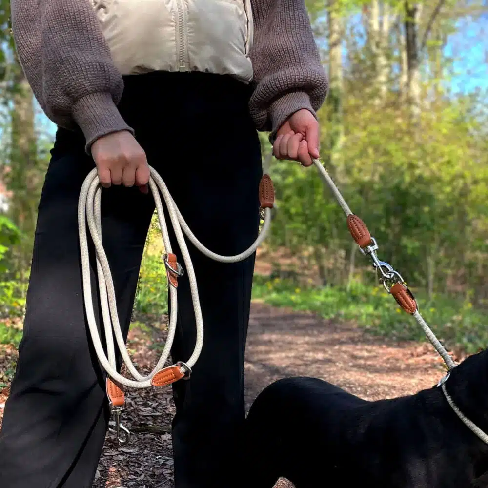 Nylon Hundeleine 2 m lang, sandfarben mit zwei Karabinern und Lederverstärkungen