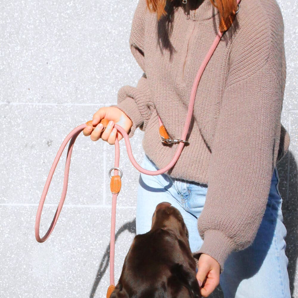 Nylon Hundeleine 2 m lang, in Altrosa mit zwei Karabinern und Lederverstärkungen