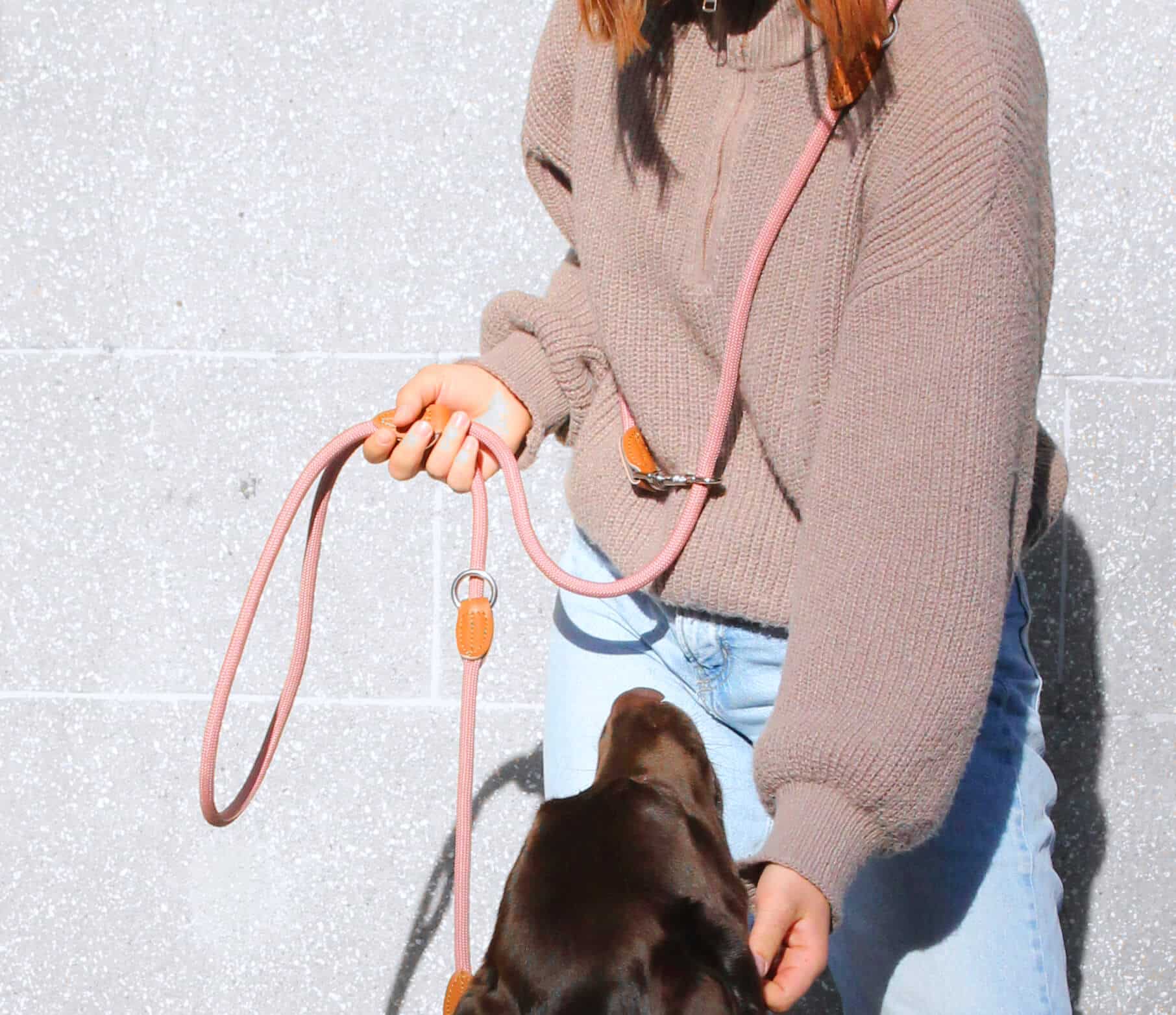 Nylon Hundeleine 2 m lang, in Altrosa mit zwei Karabinern und Lederverstärkungen