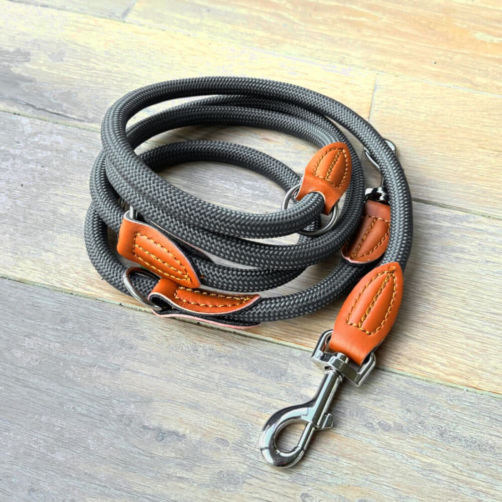 Nylon Hundeleine 2 m lang, in grau mit zwei Karabinern und Lederverstärkungen