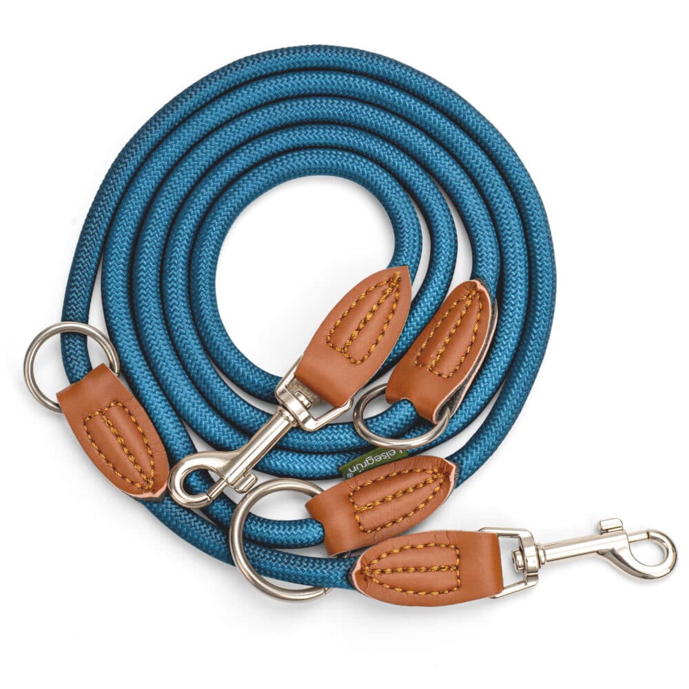 Nylon Hundeleine 2 m in Blau mit zwei Karabinern und Lederverstärkungen
