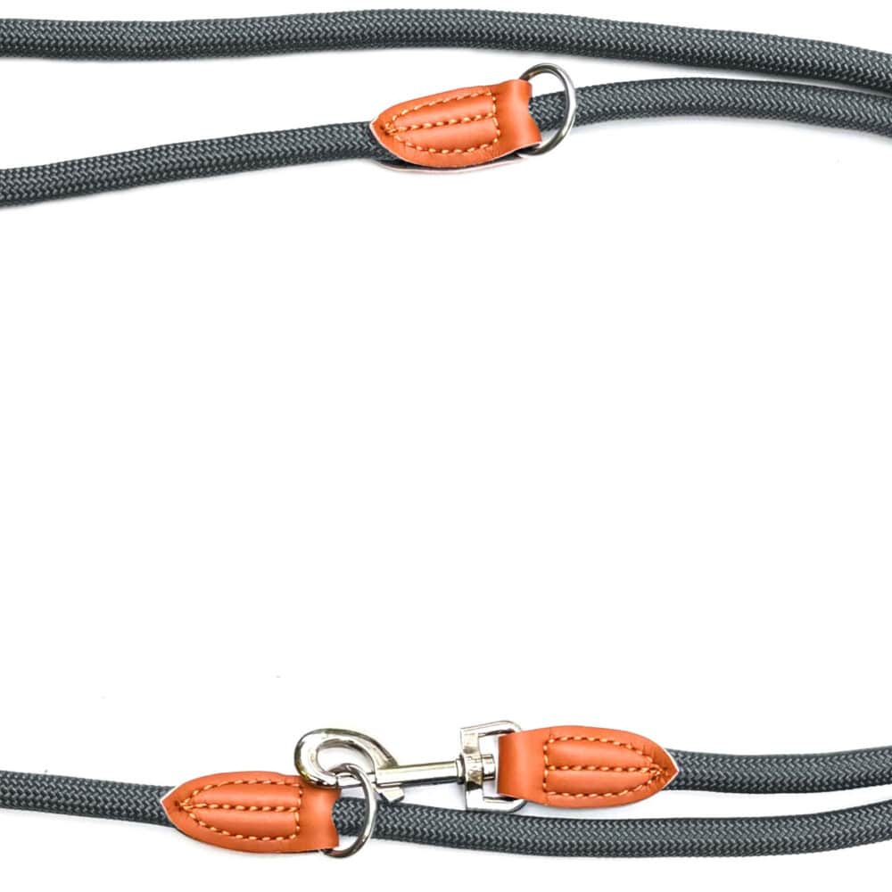 Nylon Hundeleine 2 m lang, in grau mit zwei Karabinern und Lederverstärkungen