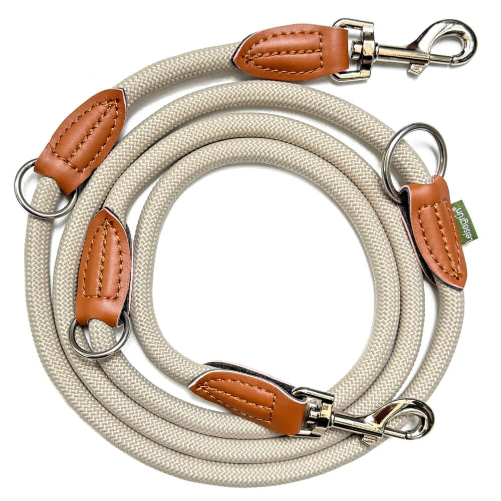 Nylon Hundeleine 2 m lang, sandfarben mit zwei Karabinern und Lederverstärkungen