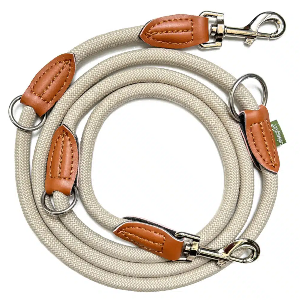 Nylon Hundeleine 2 m lang, sandfarben mit zwei Karabinern und Lederverstärkungen