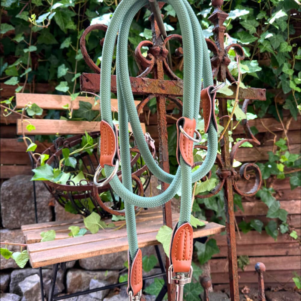 Nylon Hundeleine 2 m in hellem Grün mit zwei Karabinern und Lederverstärkungen