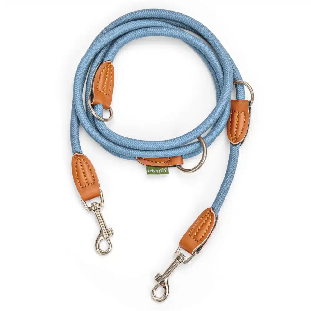 Nylon Hundeleine 2 m in hellem Blau mit zwei Karabinern und Lederverstärkungen