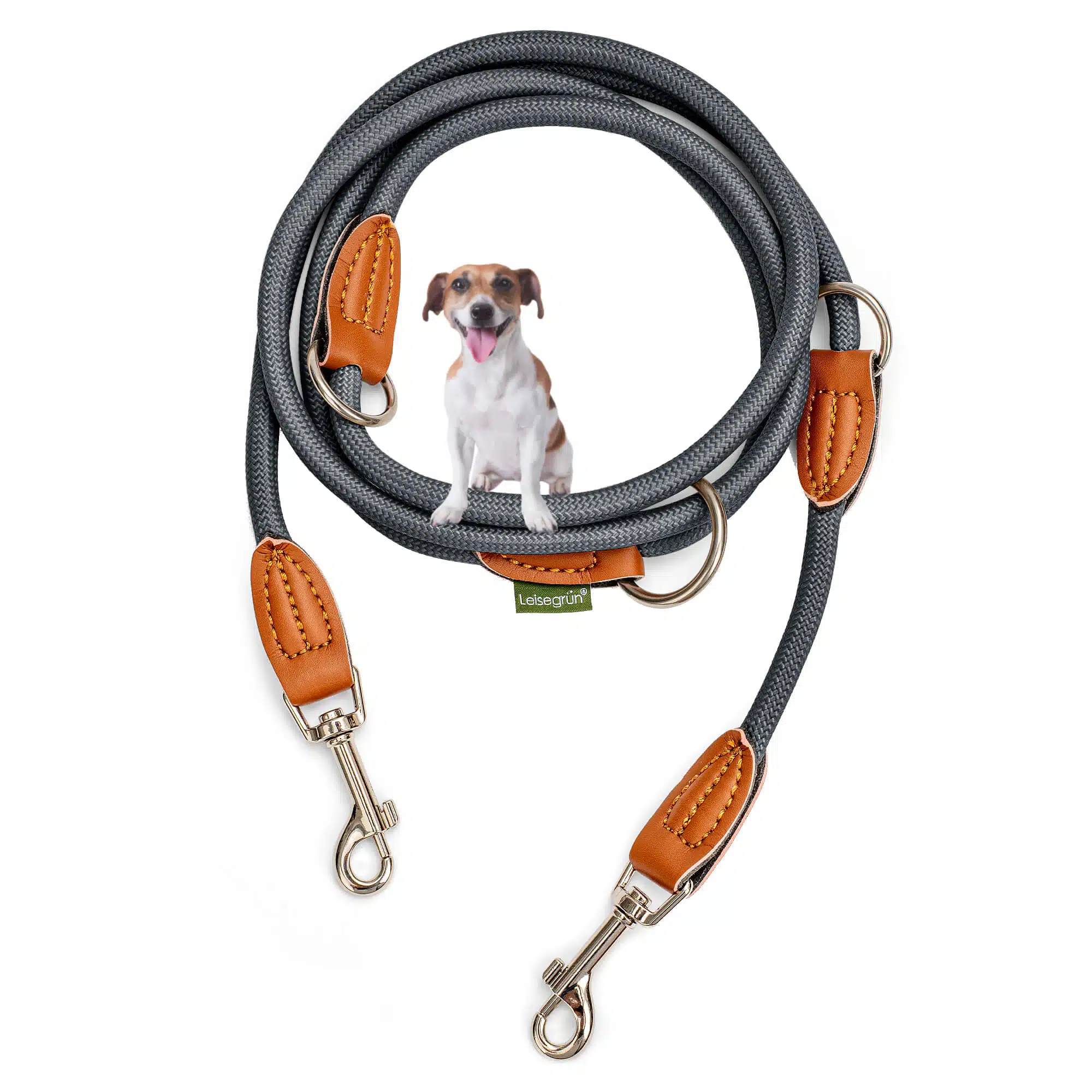 Nylon Hundeleine 2 m lang, in grau mit zwei Karabinern und Lederverstärkungen