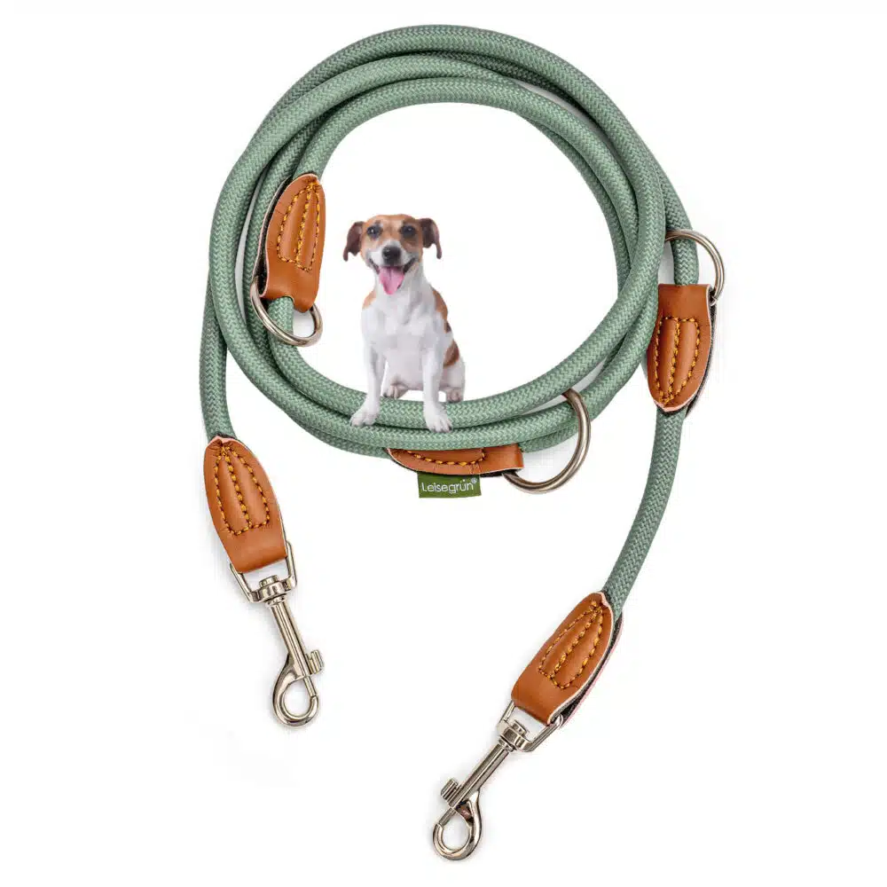 Nylon Hundeleine 2 m in hellem Grün mit zwei Karabinern und Lederverstärkungen