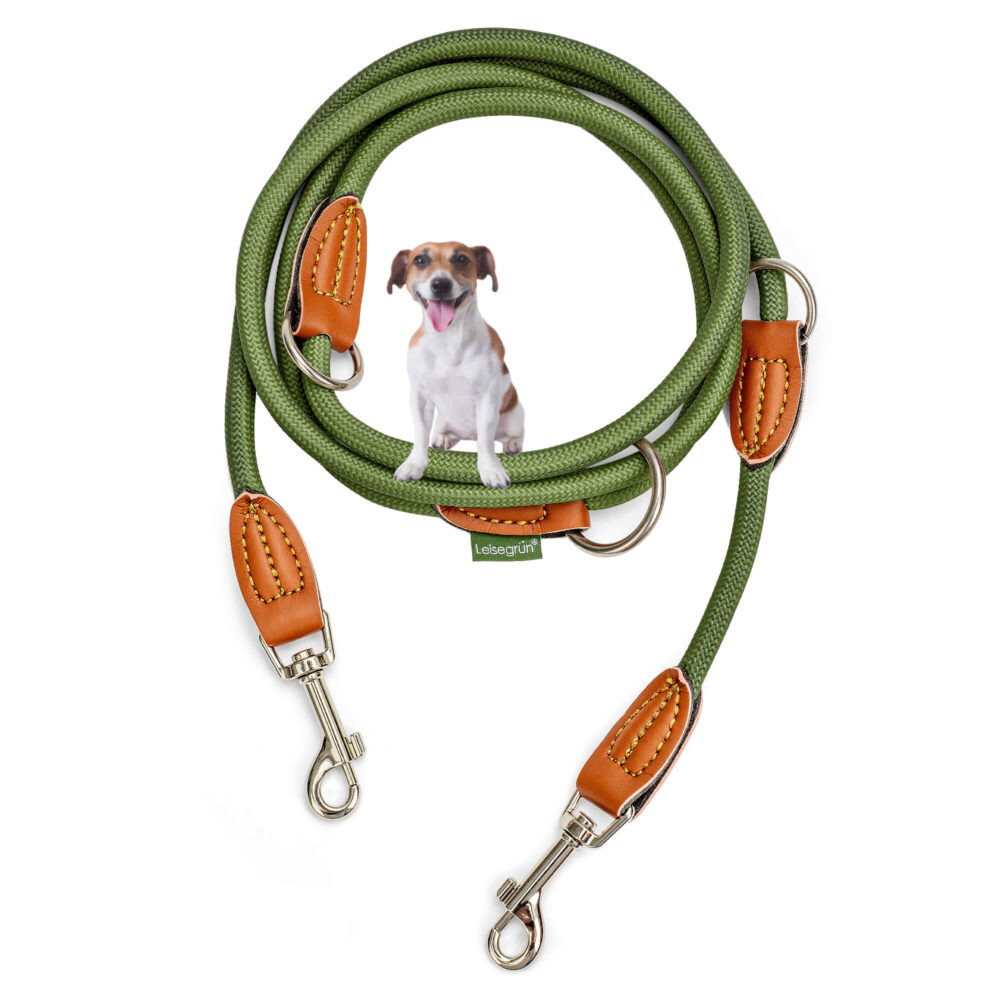 Nylon Hundeleine 2 m lang, in Olivgrün mit zwei Karabinern und Lederverstärkungen