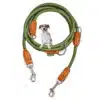 Nylon Hundeleine 2 m lang, in Olivgrün mit zwei Karabinern und Lederverstärkungen