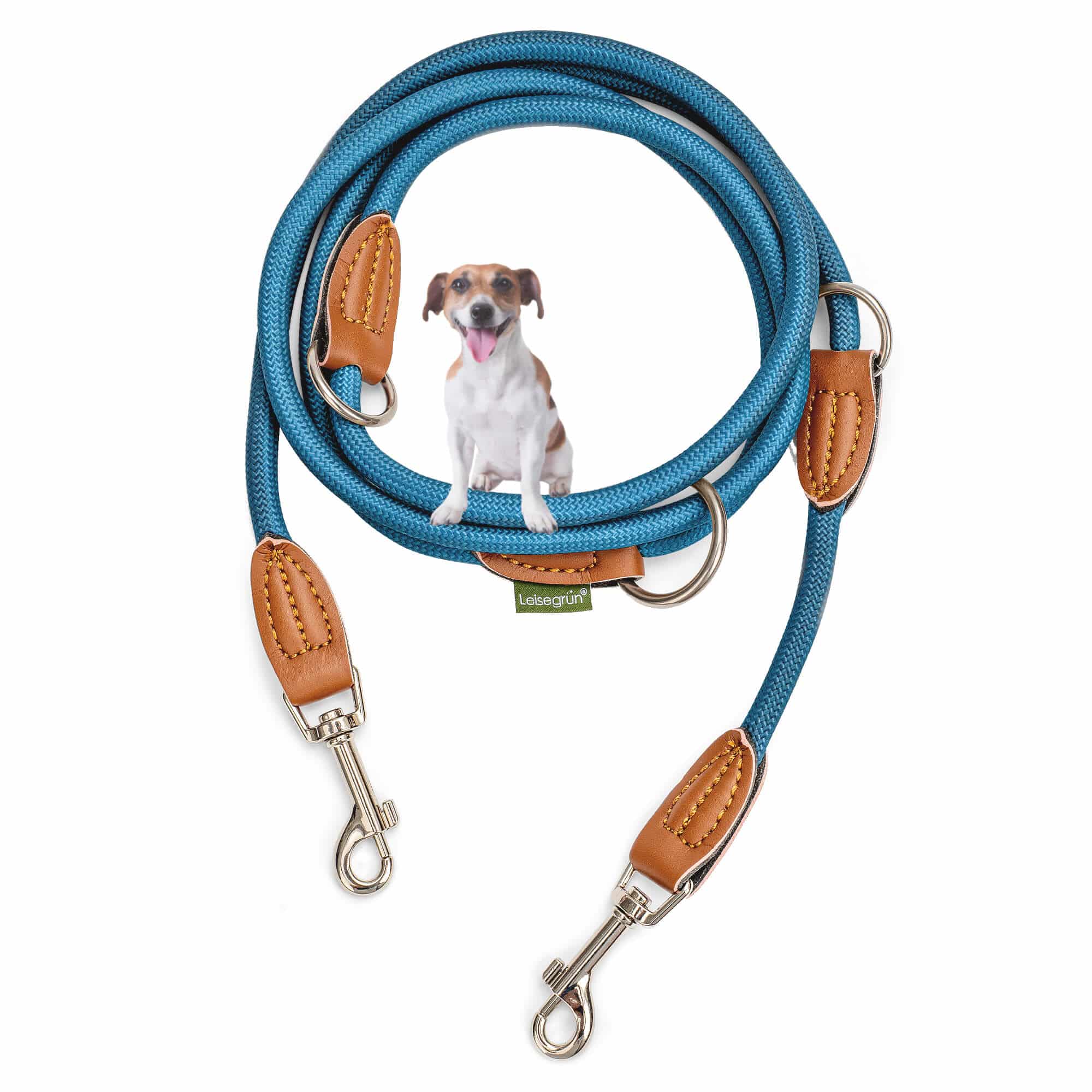 Nylon Hundeleine 2 m in Blau mit zwei Karabinern und Lederverstärkungen