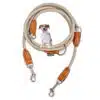 Nylon Hundeleine 2 m lang, sandfarben mit zwei Karabinern und Lederverstärkungen