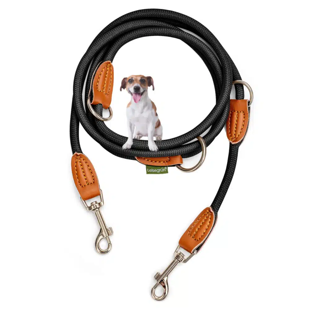 Nylon Hundeleine 2 m lang, in Schwarz mit zwei Karabinern und Lederverstärkungen