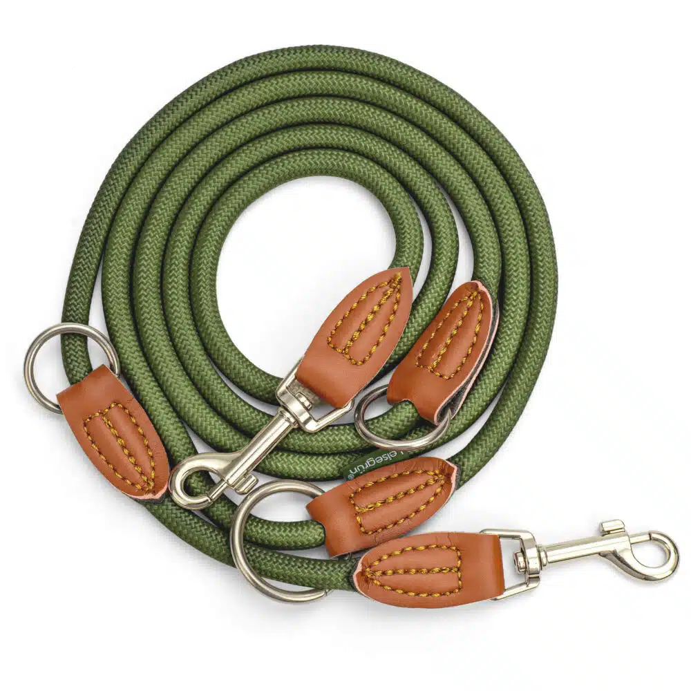 Nylon Hundeleine 2 m lang, in Olivgrün mit zwei Karabinern und Lederverstärkungen
