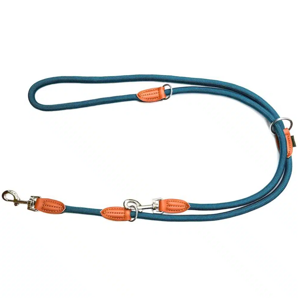 Nylon Hundeleine 2 m in Blau mit zwei Karabinern und Lederverstärkungen