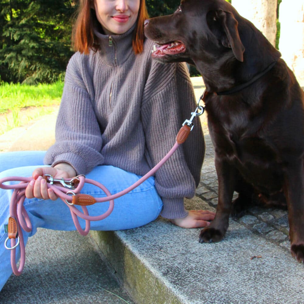 Nylon Hundeleine 2 m lang, in Altrosa mit zwei Karabinern und Lederverstärkungen