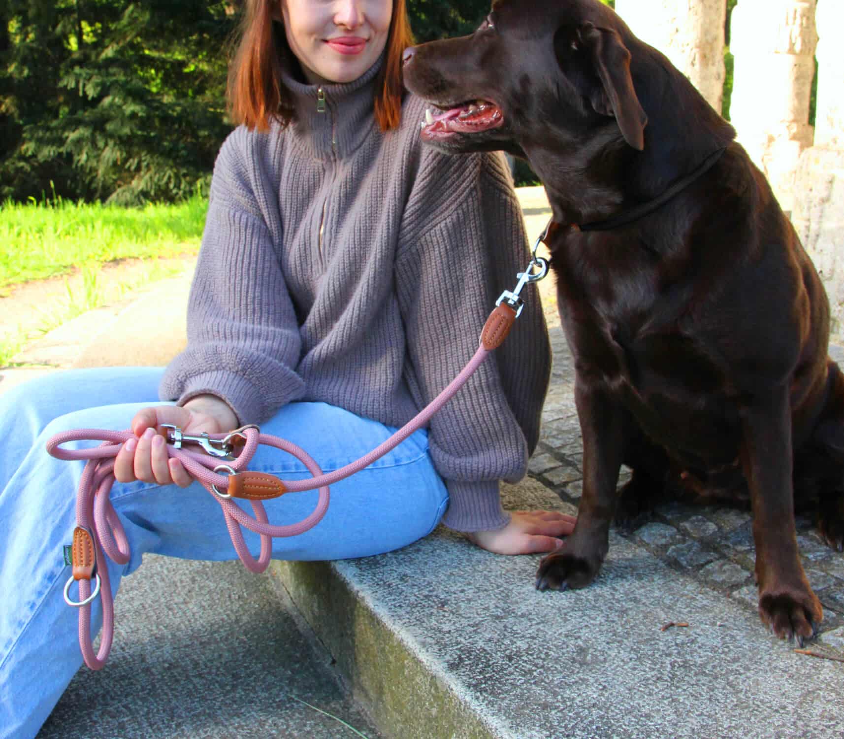 Nylon Hundeleine 2 m lang, in Altrosa mit zwei Karabinern und Lederverstärkungen