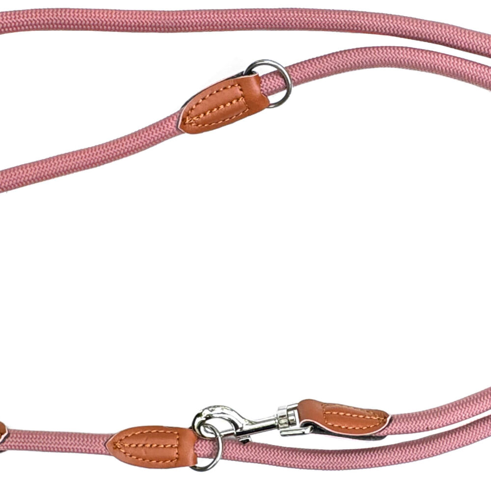 Nylon Hundeleine 2 m lang, in Altrosa mit zwei Karabinern und Lederverstärkungen