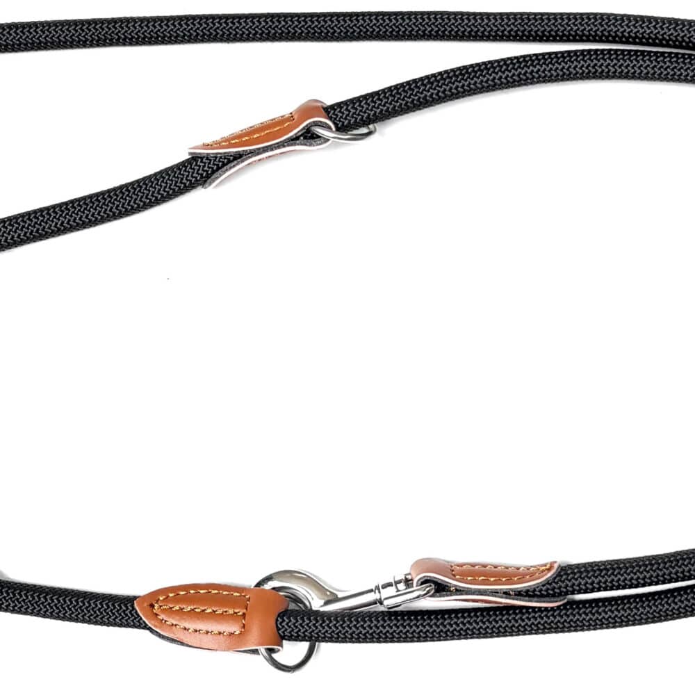 Nylon Hundeleine 2 m lang, in Schwarz mit zwei Karabinern und Lederverstärkungen