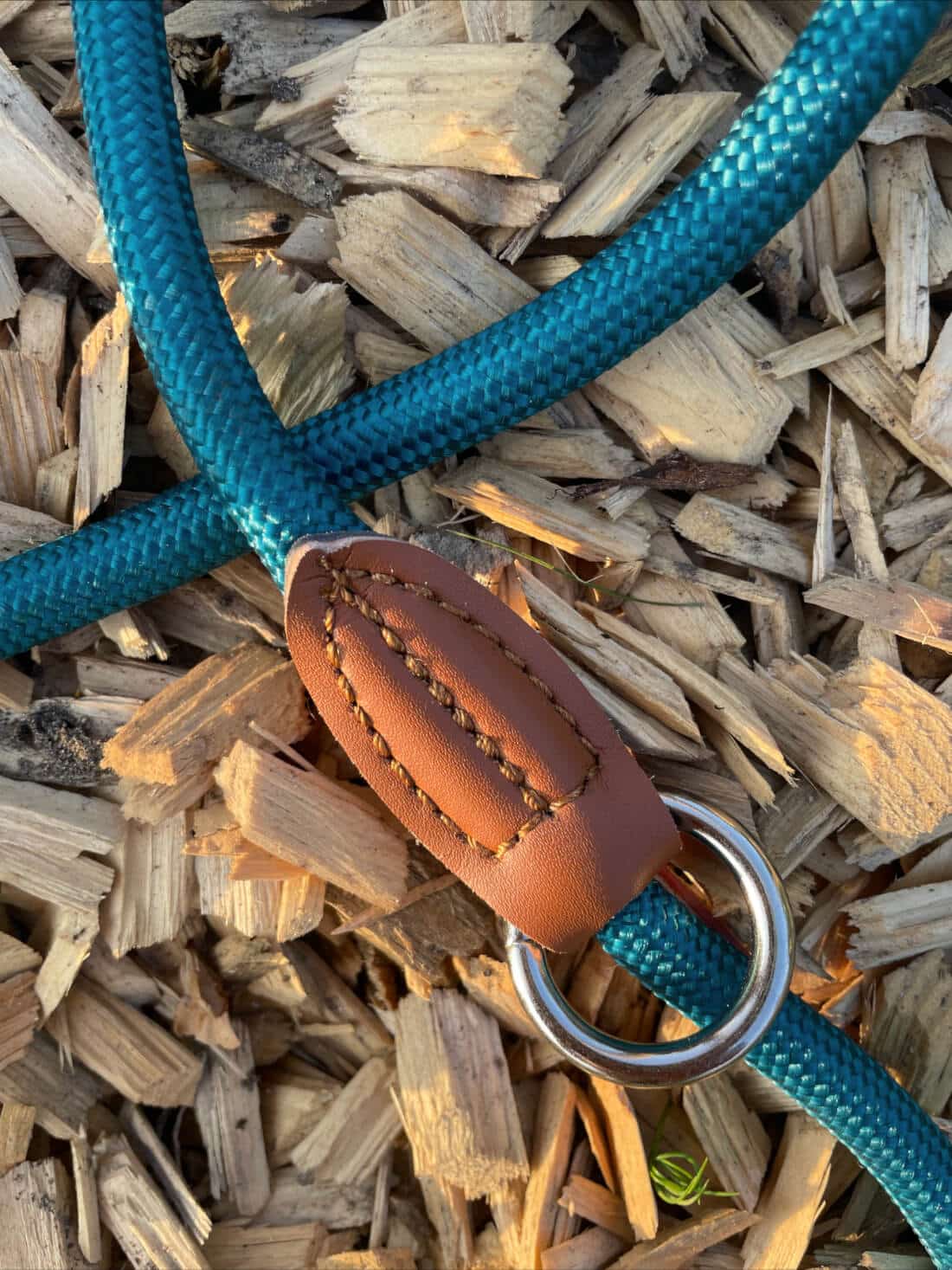 Leisegrün Devon Nylon Hundeleine 2m für große Hunde - Petrol – Bild 4