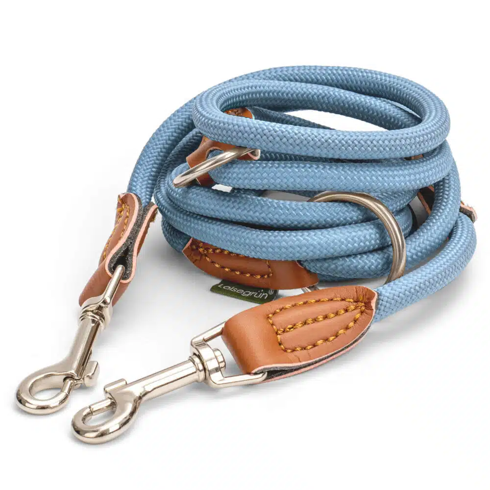 Nylon Hundeleine 2 m in hellem Blau mit zwei Karabinern und Lederverstärkungen