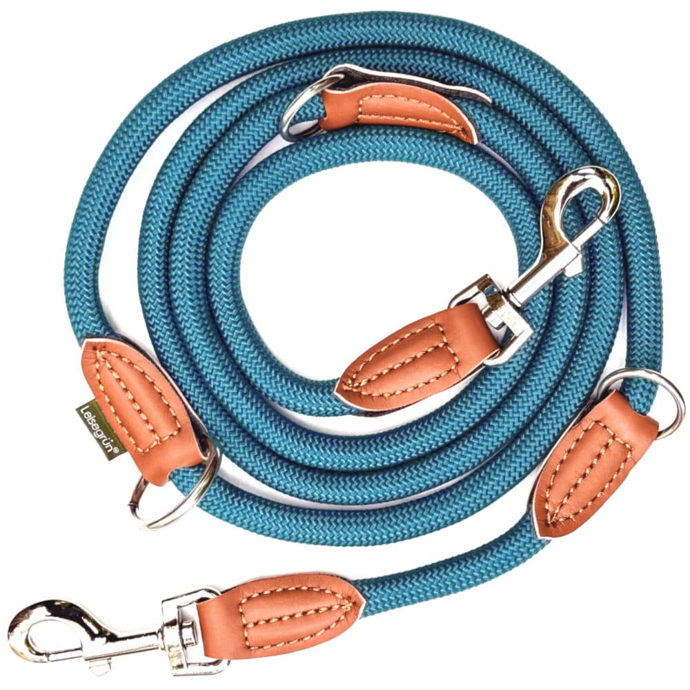 Leisegrün Devon Nylon Hundeleine 2m für große Hunde - Petrol